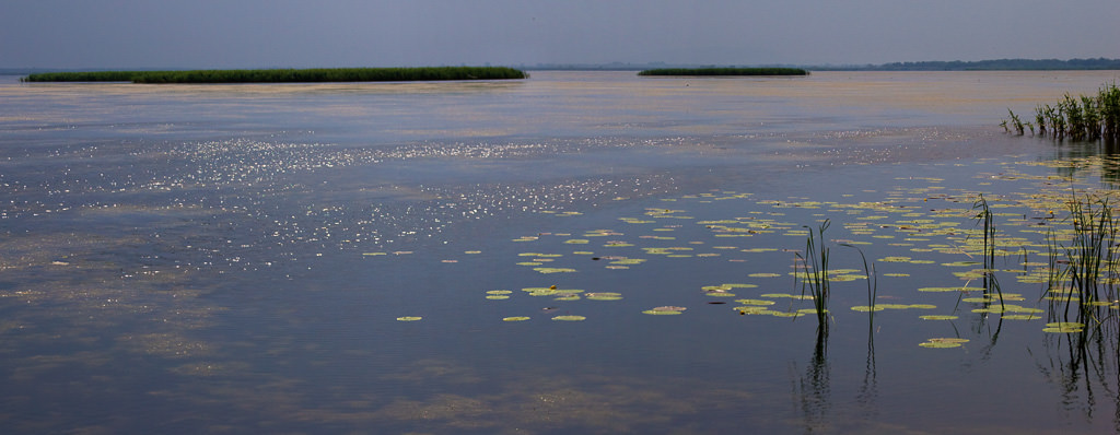 Panoramas Danube Delta (2 of 4)